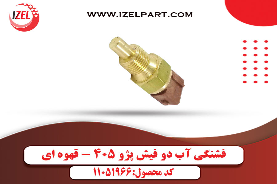 فشنگی آب دو فیش پژو 405 - قهوه ای